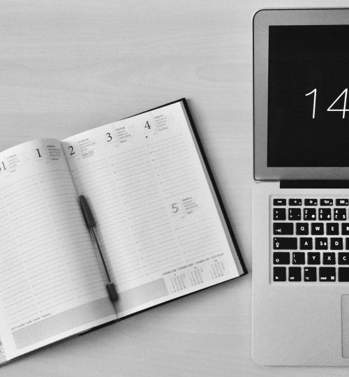 pexels-michaela-87369-295826