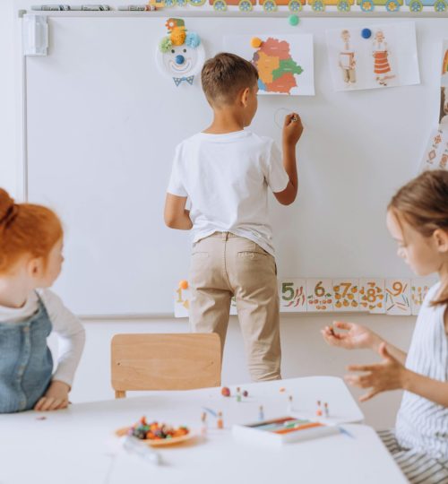 pexels-mikhail-nilov-8923880